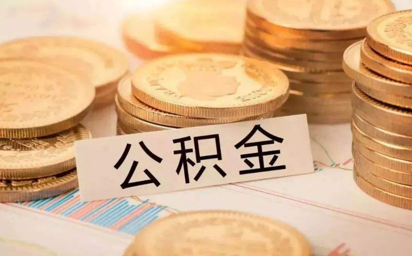 上海市闵行区空放